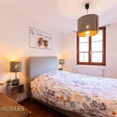 Au Bonheur Des Anges Appartement 2 Chambres Avec Terrasse Colmar Exterior photo