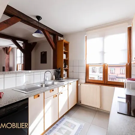 Au Bonheur Des Anges Appartement 2 Chambres Avec Terrasse Colmar Exterior photo