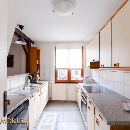 Au Bonheur Des Anges Appartement 2 Chambres Avec Terrasse Colmar Exterior photo